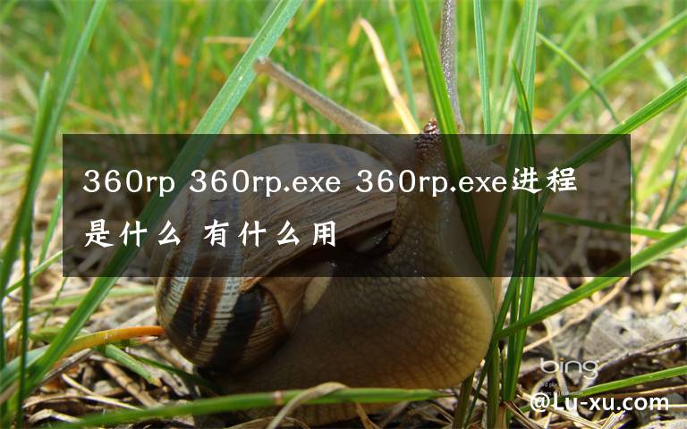 360rp 360rp.exe 360rp.exe進(jìn)程是什么 有什么用