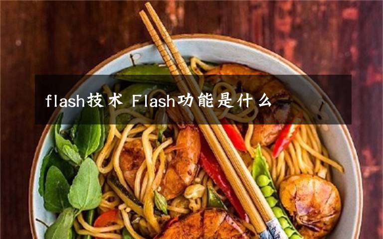 flash技術(shù) Flash功能是什么