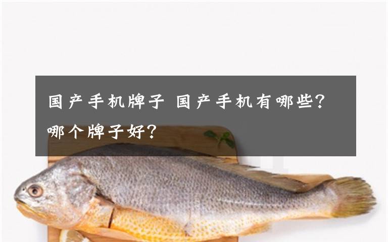 國產(chǎn)手機牌子 國產(chǎn)手機有哪些？哪個牌子好？