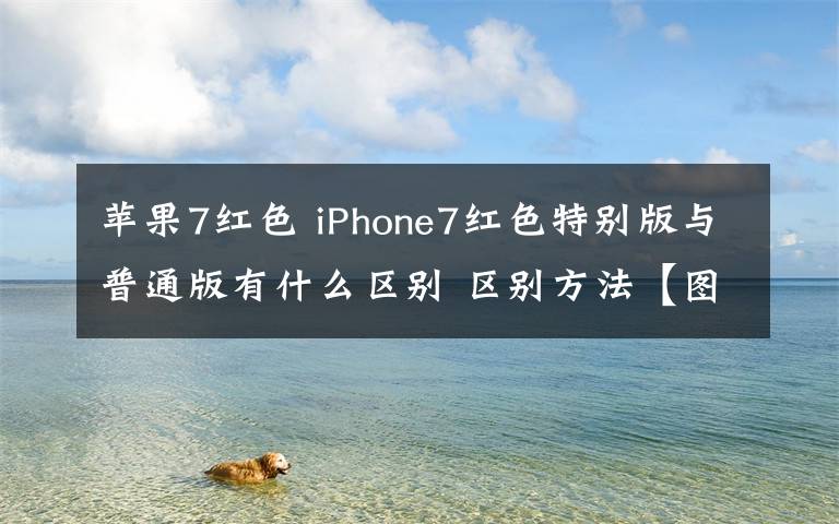 蘋果7紅色 iPhone7紅色特別版與普通版有什么區(qū)別 區(qū)別方法【圖文詳解】