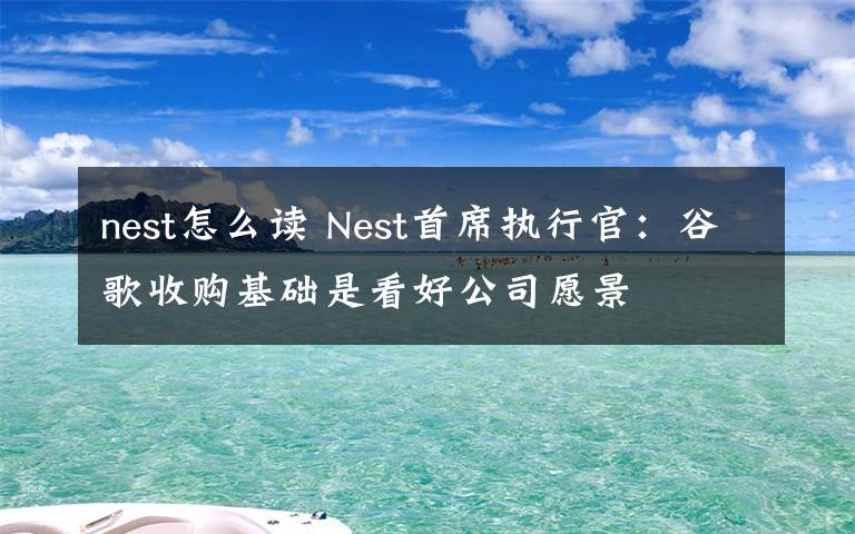 nest怎么讀 Nest首席執(zhí)行官：谷歌收購基礎是看好公司愿景