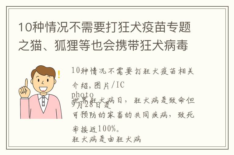 10種情況不需要打狂犬疫苗專題之貓、狐貍等也會攜帶狂犬病毒 受傷后接種疫苗越早越好