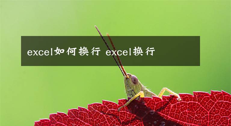 excel如何換行 excel換行