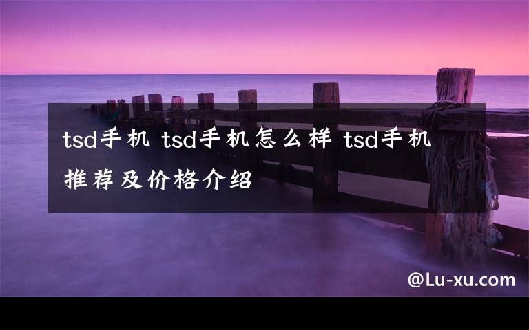 tsd手機(jī) tsd手機(jī)怎么樣 tsd手機(jī)推薦及價(jià)格介紹