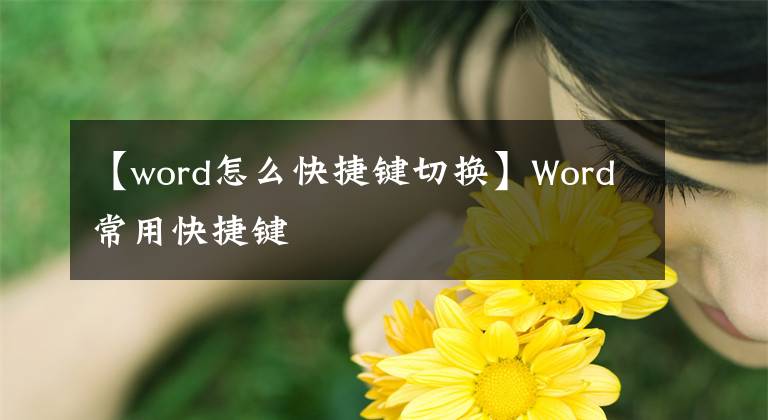 【word怎么快捷鍵切換】Word常用快捷鍵