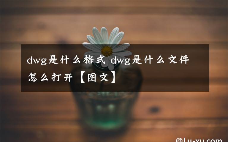 dwg是什么格式 dwg是什么文件 怎么打開【圖文】