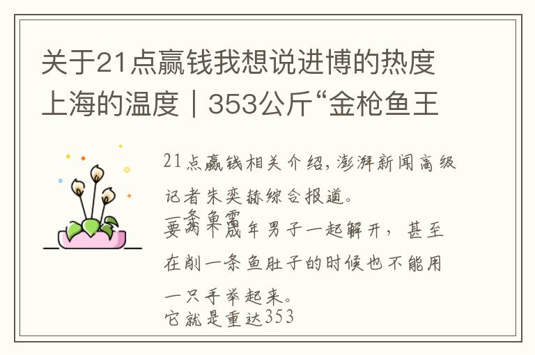 關(guān)于21點贏錢我想說進博的熱度上海的溫度｜353公斤“金槍魚王”今日開魚