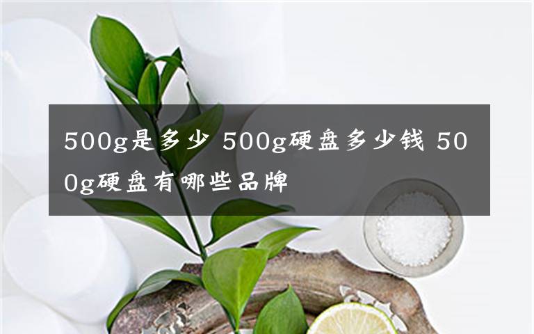 500g是多少 500g硬盤多少錢 500g硬盤有哪些品牌