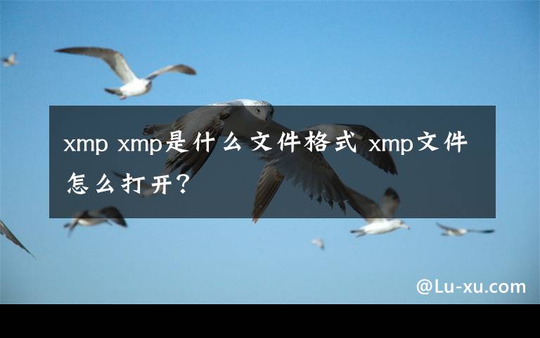 xmp xmp是什么文件格式 xmp文件怎么打開？