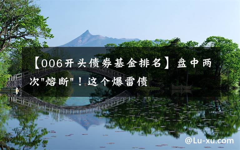 【006開頭債券基金排名】盤中兩次"熔斷"！這個爆雷債券又大跌了