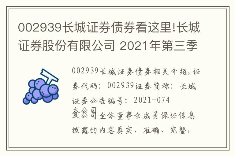 002939長(zhǎng)城證券債券看這里!長(zhǎng)城證券股份有限公司 2021年第三季度報(bào)告