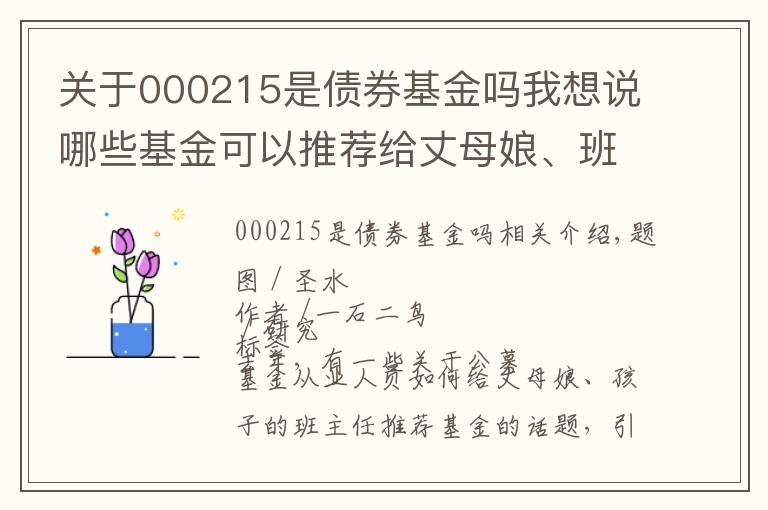 關(guān)于000215是債券基金嗎我想說哪些基金可以推薦給丈母娘、班主任