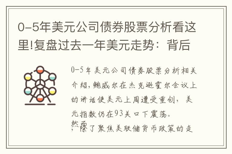 0-5年美元公司債券股票分析看這里!復(fù)盤(pán)過(guò)去一年美元走勢(shì)：背后是什么力量驅(qū)動(dòng)？