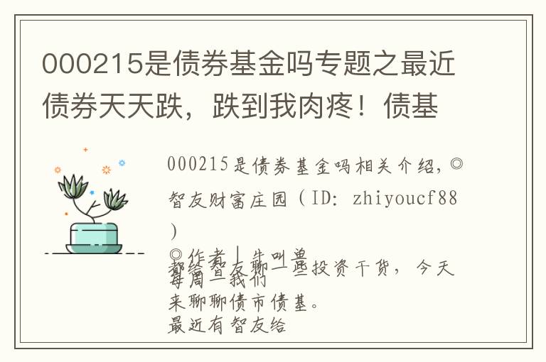 000215是債券基金嗎專題之最近債券天天跌，跌到我肉疼！債基還能買嗎？