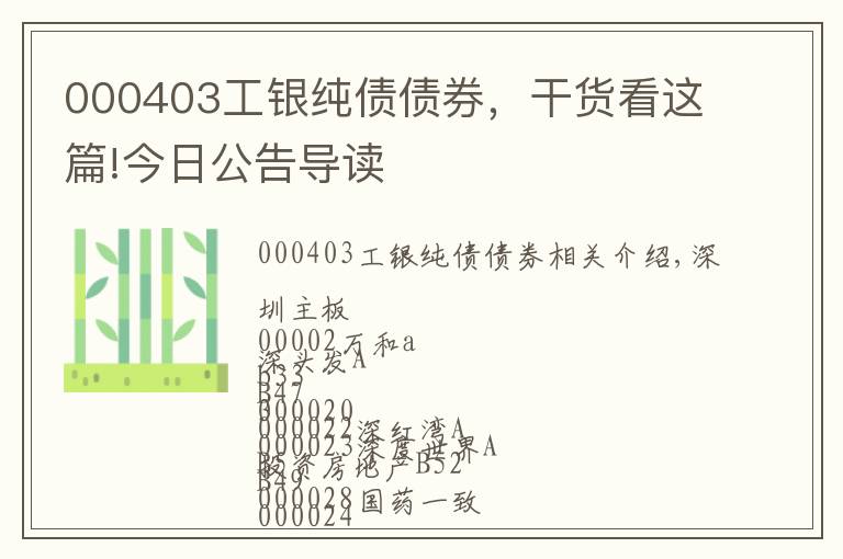 000403工銀純債債券，干貨看這篇!今日公告導讀