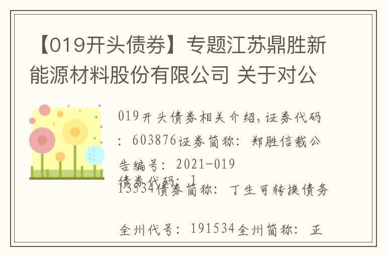 【019開(kāi)頭債券】專題江蘇鼎勝新能源材料股份有限公司 關(guān)于對(duì)公司2021年度對(duì)外擔(dān)保授權(quán)的公告