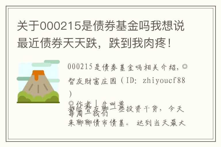 關(guān)于000215是債券基金嗎我想說最近債券天天跌，跌到我肉疼！債基還能買嗎？