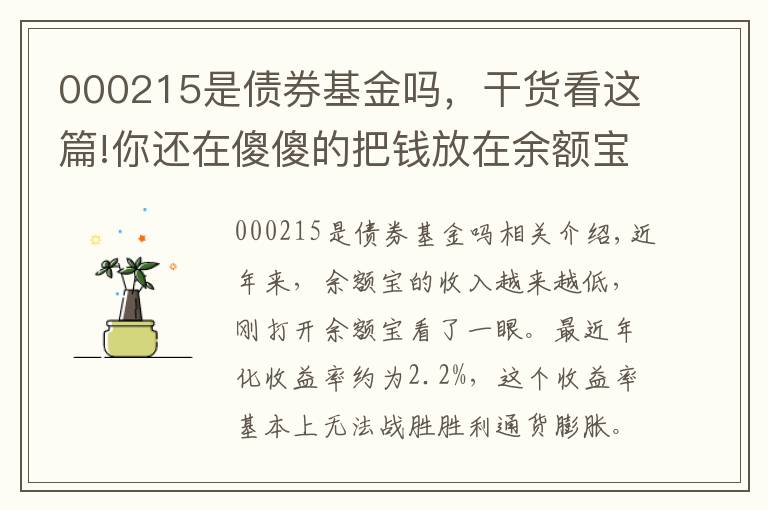 000215是債券基金嗎，干貨看這篇!你還在傻傻的把錢放在余額寶嗎，這5只基金收益穩(wěn)風(fēng)險低收益超6%