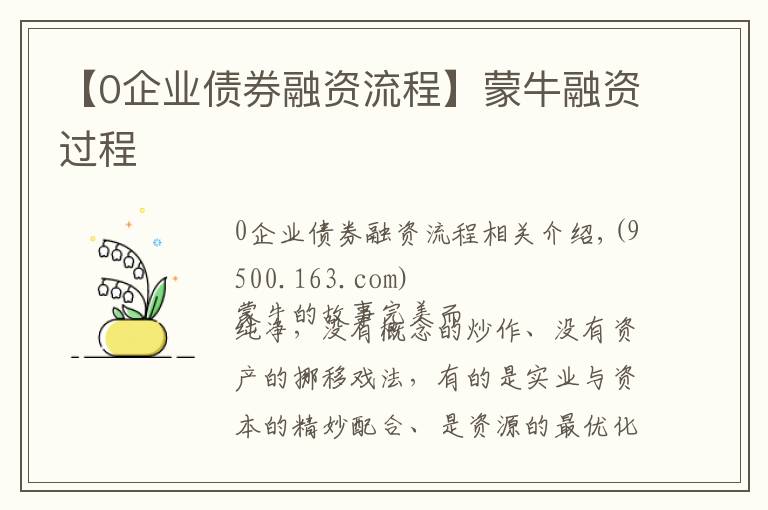 【0企業(yè)債券融資流程】蒙牛融資過程