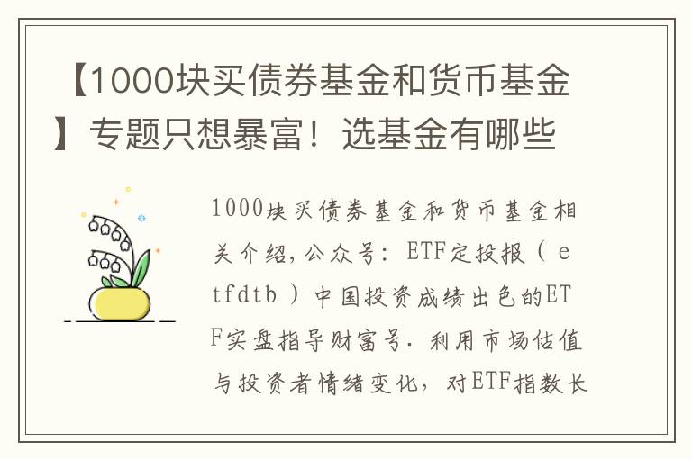 【1000塊買(mǎi)債券基金和貨幣基金】專(zhuān)題只想暴富！選基金有哪些好辦法？除了定投，投資基金有哪些技巧？