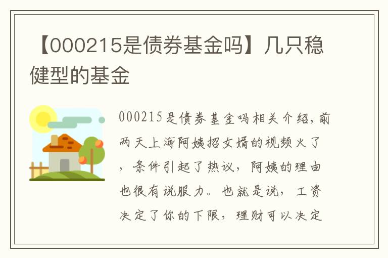 【000215是債券基金嗎】幾只穩(wěn)健型的基金