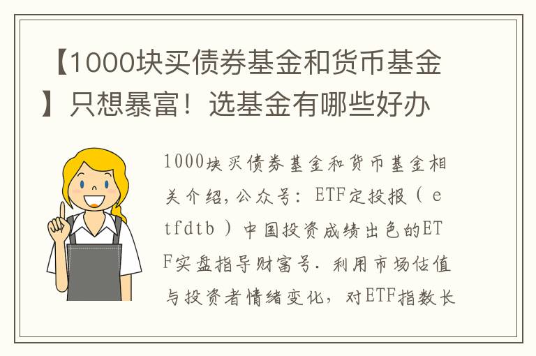 【1000塊買(mǎi)債券基金和貨幣基金】只想暴富！選基金有哪些好辦法？除了定投，投資基金有哪些技巧？