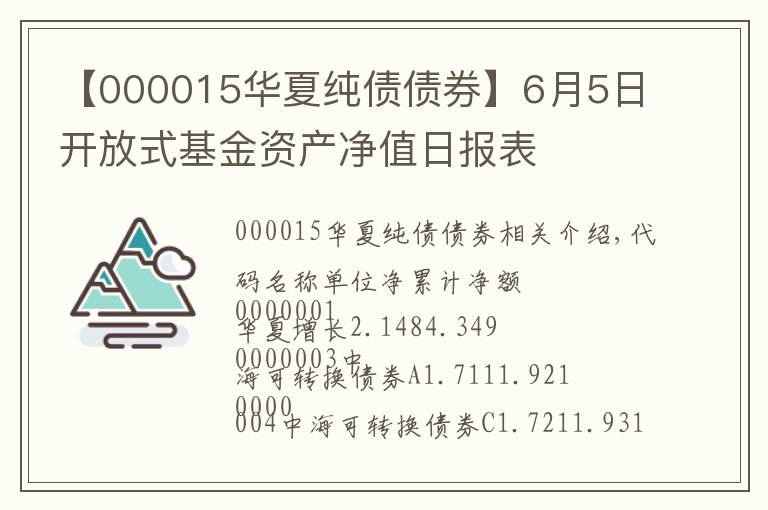 【000015華夏純債債券】6月5日開(kāi)放式基金資產(chǎn)凈值日?qǐng)?bào)表