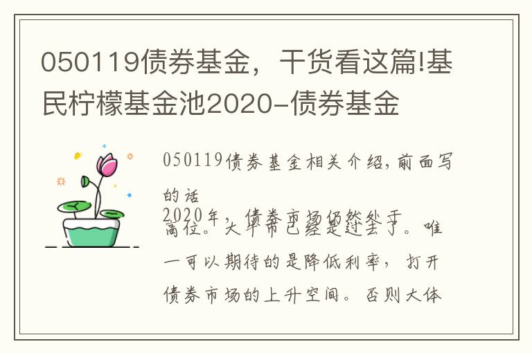 050119債券基金，干貨看這篇!基民檸檬基金池2020-債券基金