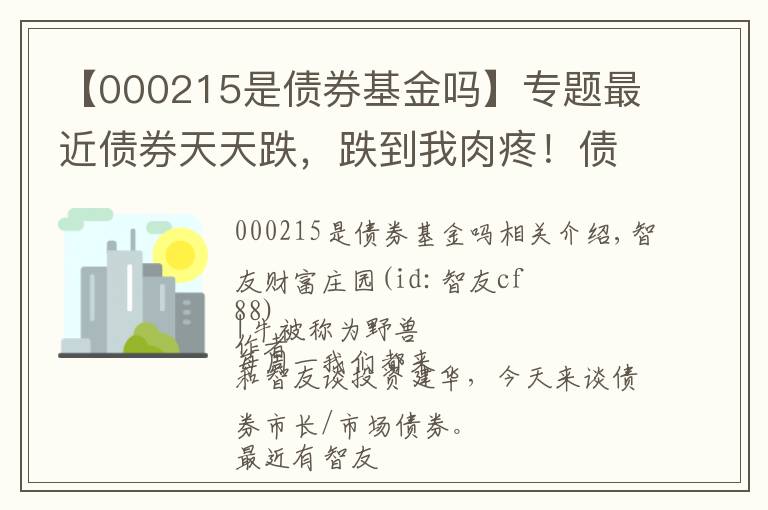 【000215是債券基金嗎】專題最近債券天天跌，跌到我肉疼！債基還能買嗎？