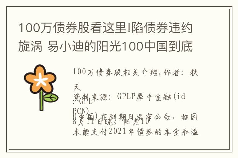 100萬債券股看這里!陷債券違約旋渦 易小迪的陽光100中國到底有多難？