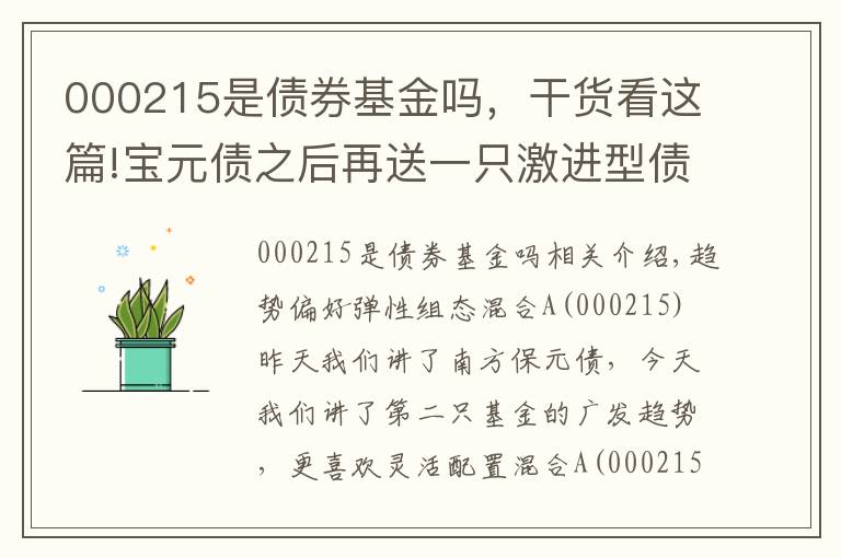 000215是債券基金嗎，干貨看這篇!寶元債之后再送一只激進(jìn)型債券