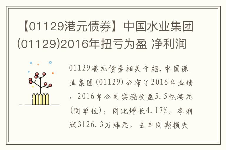 【01129港元債券】中國水業(yè)集團(tuán)(01129)2016年扭虧為盈 凈利潤3126.3萬元