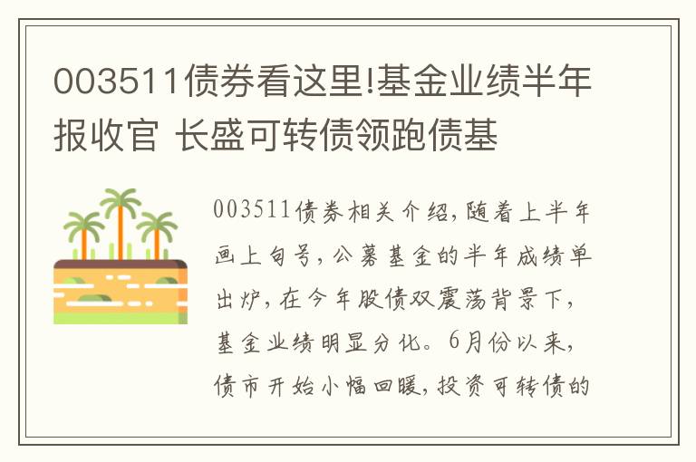 003511債券看這里!基金業(yè)績(jī)半年報(bào)收官 長(zhǎng)盛可轉(zhuǎn)債領(lǐng)跑債基