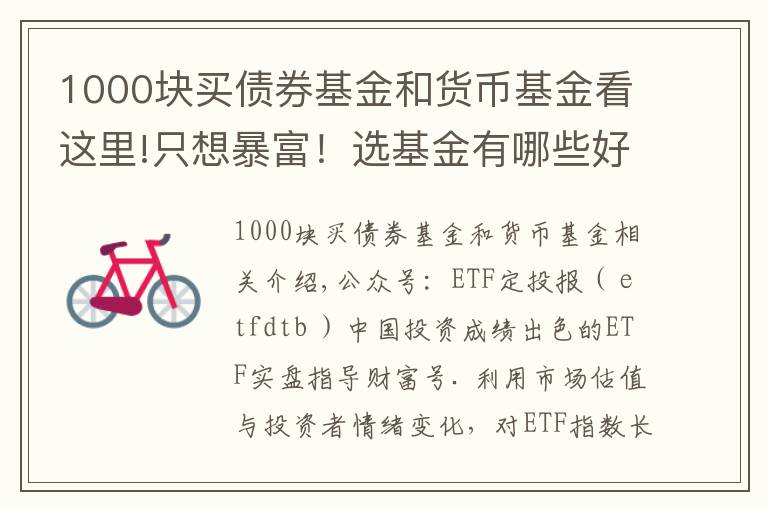 1000塊買(mǎi)債券基金和貨幣基金看這里!只想暴富！選基金有哪些好辦法？除了定投，投資基金有哪些技巧？