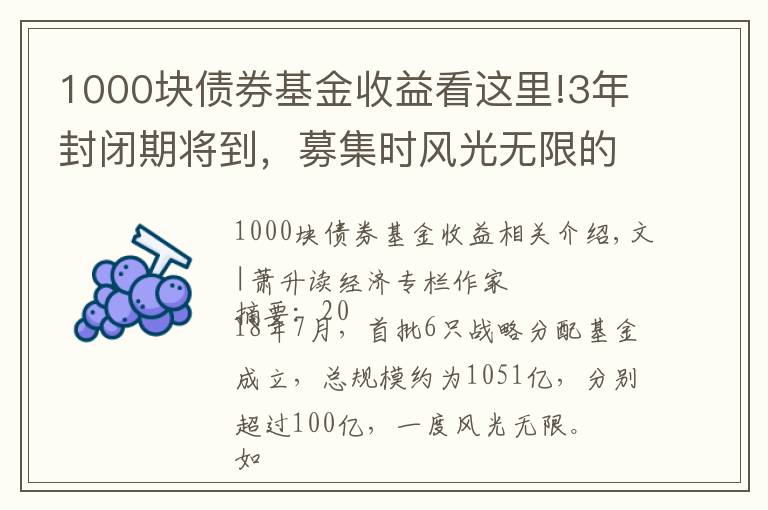 1000塊債券基金收益看這里!3年封閉期將到，募集時風(fēng)光無限的1000億戰(zhàn)略配售基金，原是個坑