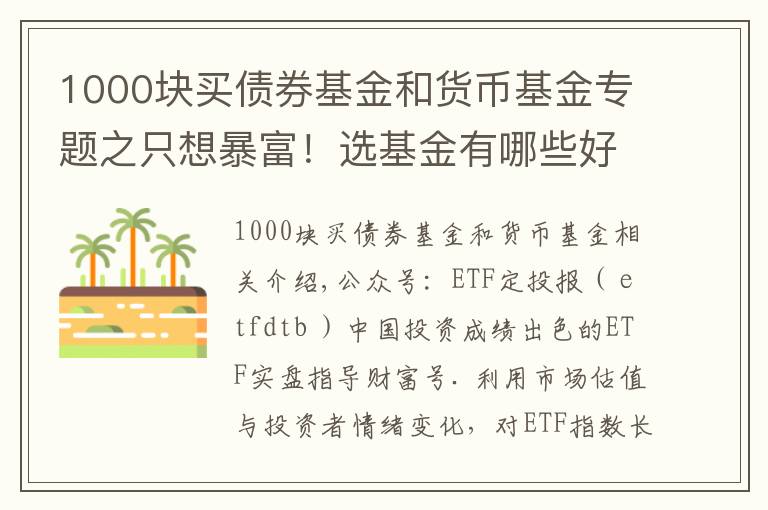 1000塊買(mǎi)債券基金和貨幣基金專(zhuān)題之只想暴富！選基金有哪些好辦法？除了定投，投資基金有哪些技巧？