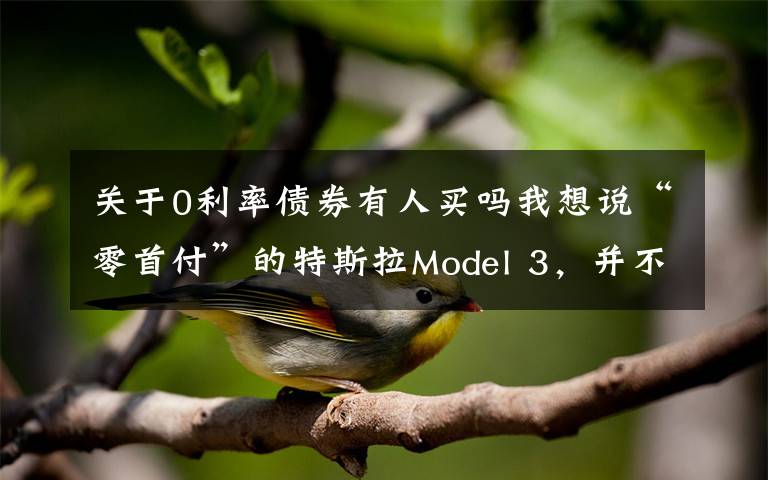 關(guān)于0利率債券有人買嗎我想說“零首付”的特斯拉Model 3，并不是想買就能買