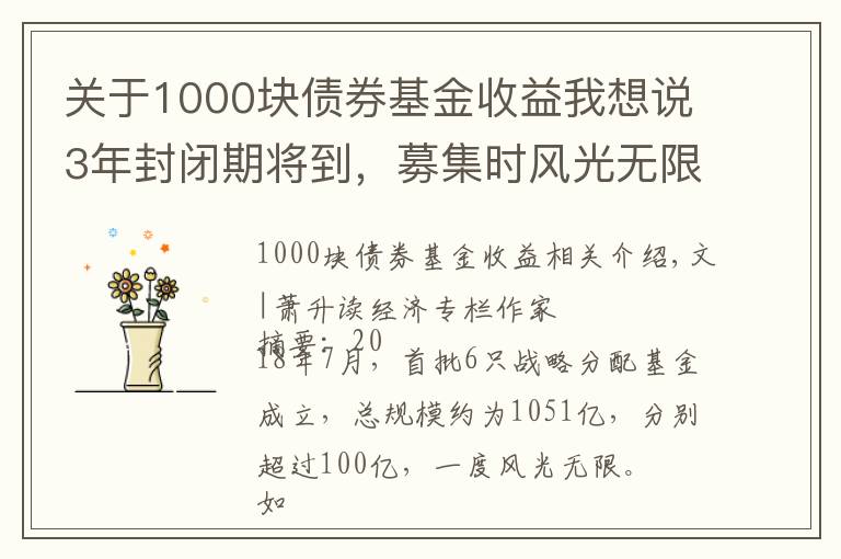 關(guān)于1000塊債券基金收益我想說3年封閉期將到，募集時風(fēng)光無限的1000億戰(zhàn)略配售基金，原是個坑