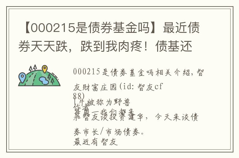 【000215是債券基金嗎】最近債券天天跌，跌到我肉疼！債基還能買嗎？