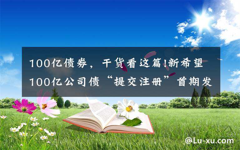 100億債券，干貨看這篇!新希望100億公司債“提交注冊(cè)”首期發(fā)行不超過(guò)30億元