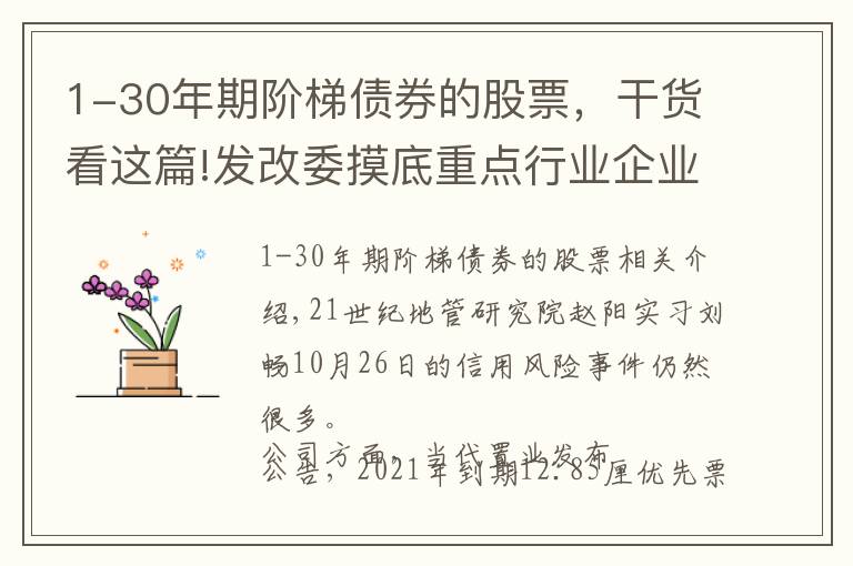 1-30年期階梯債券的股票，干貨看這篇!發(fā)改委摸底重點(diǎn)行業(yè)企業(yè)外債，上海啟動“全域無隱性債務(wù)”試點(diǎn)，當(dāng)代置業(yè)美元債違約被下調(diào)評級丨預(yù)警內(nèi)參（第五十五期）