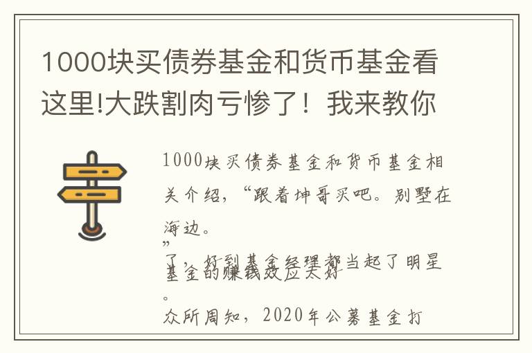 1000塊買債券基金和貨幣基金看這里!大跌割肉虧慘了！我來教你基金怎么買