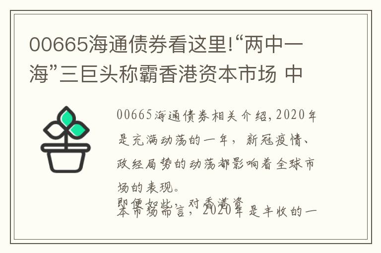 00665海通債券看這里!“兩中一?！比揞^稱霸香港資本市場 中金海通（00665）雄踞保薦承銷榜首