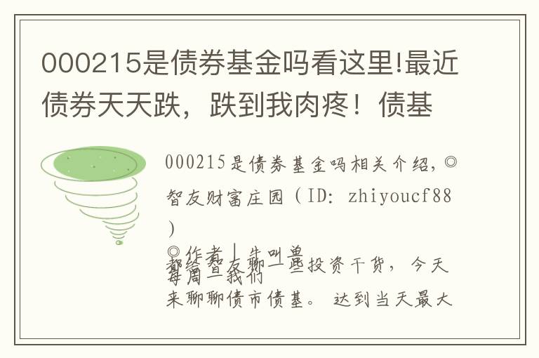 000215是債券基金嗎看這里!最近債券天天跌，跌到我肉疼！債基還能買嗎？