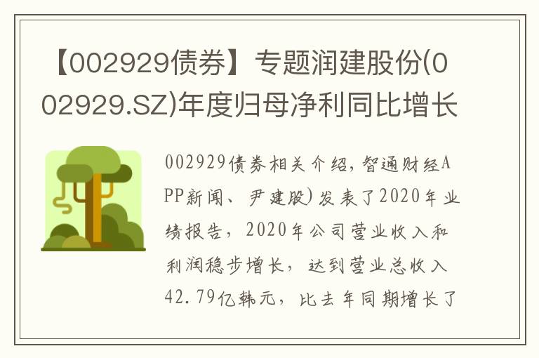 【002929債券】專題潤(rùn)建股份(002929.SZ)年度歸母凈利同比增長(zhǎng)8.38%至2.49億元