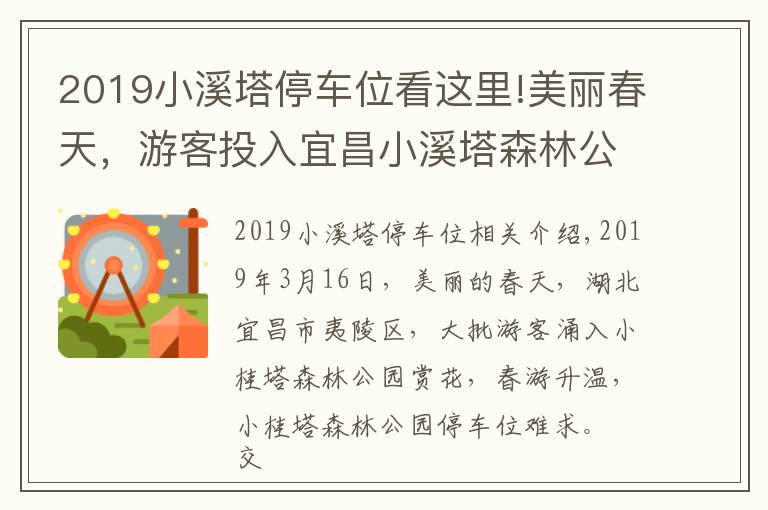 2019小溪塔停車位看這里!美麗春天，游客投入宜昌小溪塔森林公園懷抱；停車位難求