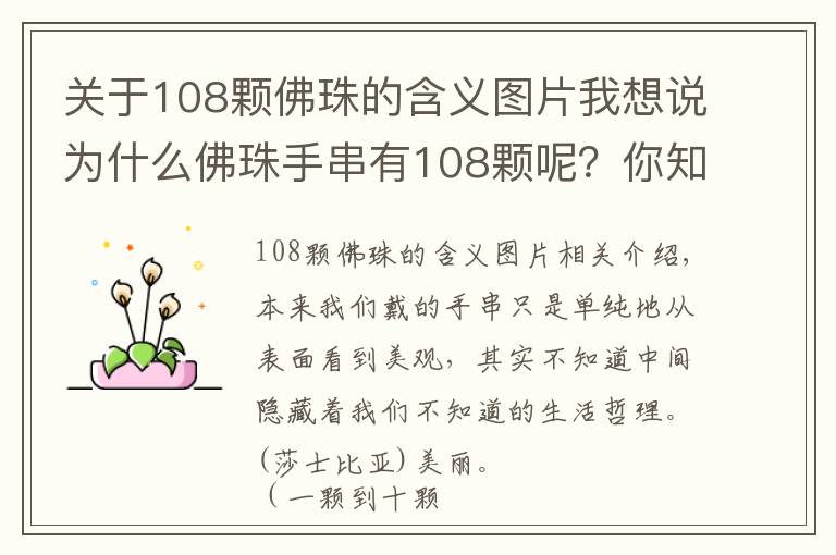 關(guān)于108顆佛珠的含義圖片我想說為什么佛珠手串有108顆呢？你知道他們的含義嗎? （一顆到十顆)