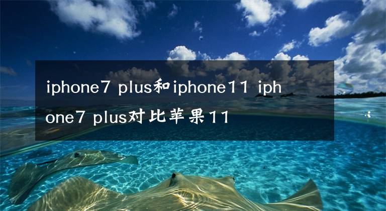 iphone7 plus和iphone11 iphone7 plus對(duì)比蘋果11