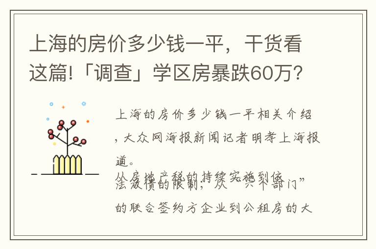 上海的房價多少錢一平，干貨看這篇!「調(diào)查」學區(qū)房暴跌60萬？看新政之下的上海房價現(xiàn)狀