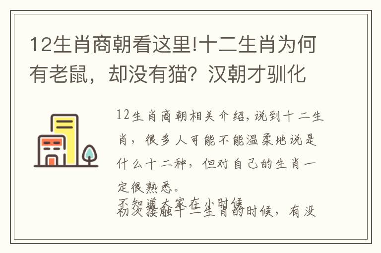 12生肖商朝看這里!十二生肖為何有老鼠，卻沒有貓？漢朝才馴化，時間太晚了